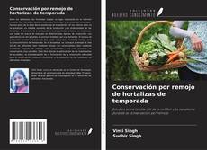 Copertina di Conservación por remojo de hortalizas de temporada