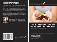 Borítókép a  Efecto del cadmio sobre la germinación de Vicia faba - hoz