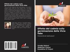 Bookcover of Effetto del cadmio sulla germinazione della Vicia faba