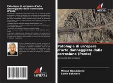 Couverture de Patologie di un’opera d’arte danneggiata dalla corrosione (Ponte)