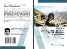 Portada del libro de Erlebnispädagogik in der Sozialen Arbeit mit Jugendlichen