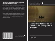 La multifractalidad en los sistemas de transporte y urbanos kitap kapağı