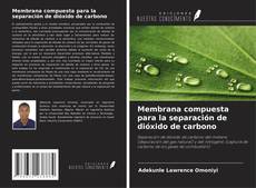 Couverture de Membrana compuesta para la separación de dióxido de carbono