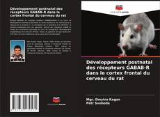 Bookcover of Développement postnatal des récepteurs GABAB-R dans le cortex frontal du cerveau du rat