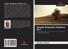 Copertina di Zungal Seagrass (Zostera sp.)