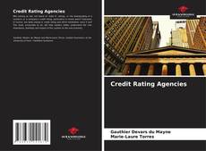 Credit Rating Agencies kitap kapağı