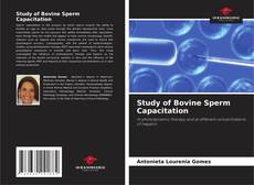 Couverture de Study of Bovine Sperm Capacitation