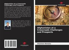 Borítókép a  Afghanistan at a Crossroads Challenges and Prospects - hoz