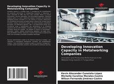 Borítókép a  Developing Innovation Capacity in Metalworking Companies - hoz