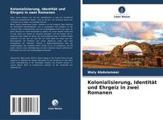 Couverture de Kolonialisierung, Identität und Ehrgeiz in zwei Romanen