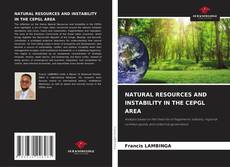 Bookcover of NATURAL RESOURCES AND INSTABILITY IN THE CEPGL AREA