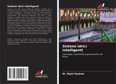 Buchcover von Sistemi idrici intelligenti