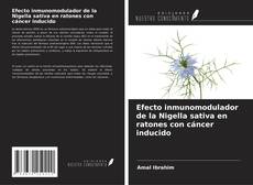 Efecto inmunomodulador de la Nigella sativa en ratones con cáncer inducido kitap kapağı