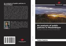 An analysis of public policies in Mozambique kitap kapağı