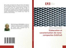 Copertina di Elaboration et caracterisation de nano-composites ZnO/CuO