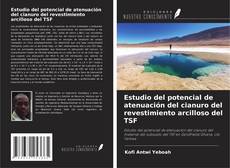 Copertina di Estudio del potencial de atenuación del cianuro del revestimiento arcilloso del TSF