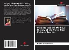 Buchcover von Insights into the Medieval History of the Turks from Chinese Sources