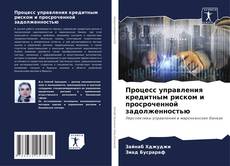 Bookcover of Процесс управления кредитным риском и просроченной задолженностью