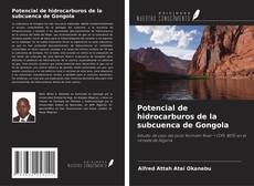 Portada del libro de Potencial de hidrocarburos de la subcuenca de Gongola