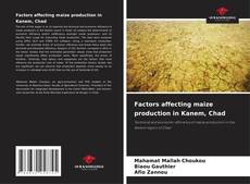 Factors affecting maize production in Kanem, Chad kitap kapağı