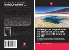 Buchcover von Investigação do potencial de atenuação de cianeto do revestimento argiloso da TSF