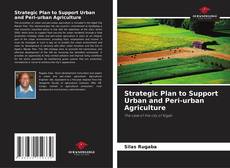 Strategic Plan to Support Urban and Peri-urban Agriculture的封面