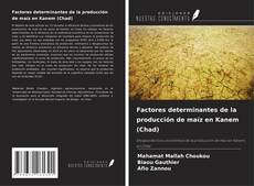 Factores determinantes de la producción de maíz en Kanem (Chad) kitap kapağı