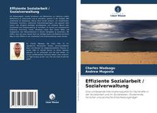 Capa do livro de Effiziente Sozialarbeit / Sozialverwaltung 