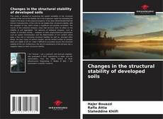 Bookcover of Changes in the structural stability of developed soils