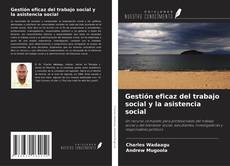 Copertina di Gestión eficaz del trabajo social y la asistencia social