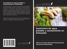 Copertina di Suministro de agua potable y saneamiento en Ankazobe