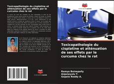 Toxicopathologie du cisplatine et atténuation de ses effets par le curcuma chez le rat kitap kapağı