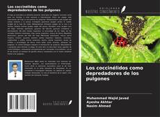 Los coccinélidos como depredadores de los pulgones kitap kapağı
