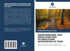 Couverture de ENERGIEBEDARF UND ERHALTUNG DER PFLANZLICHEN RESSOURCEN IN TOGO