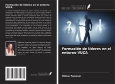 Formación de líderes en el entorno VUCA kitap kapağı