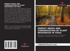 Copertina di ENERGY NEEDS AND CONSERVATION OF PLANT RESOURCES IN TOGO