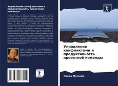 Управление конфликтами и продуктивность проектной команды的封面