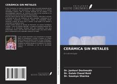 Buchcover von CERÁMICA SIN METALES