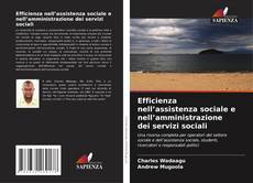 Buchcover von Efficienza nell’assistenza sociale e nell’amministrazione dei servizi sociali