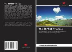Bookcover of The BEPSEE Triangle