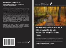 NECESIDADES ENERGÉTICAS Y CONSERVACIÓN DE LOS RECURSOS VEGETALES EN TOGO kitap kapağı