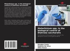 Bookcover of Metarhizium spp. in the biological control of Diatraea saccharalis