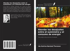 Couverture de Abordar los desajustes entre el suministro y el consumo de energía