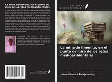 Обложка La mina de ilmenita, en el punto de mira de los retos medioambientales