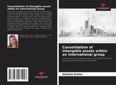 Capa do livro de Consolidation of intangible assets within an international group 