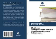 Studien zu Carbapenemase und zum Membranproteom von Acinetobacter kitap kapağı