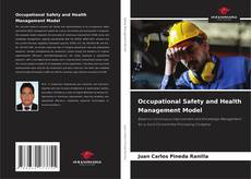 Borítókép a  Occupational Safety and Health Management Model - hoz