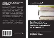 Обложка Estudios sobre la carbapenemasa y el proteoma de membrana de Acinetobacter