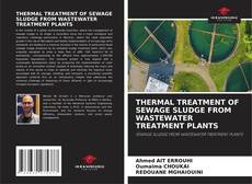Bookcover of THERMAL TREATMENT OF SEWAGE SLUDGE FROM WASTEWATER TREATMENT PLANTS