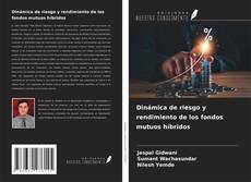 Bookcover of Dinámica de riesgo y rendimiento de los fondos mutuos híbridos